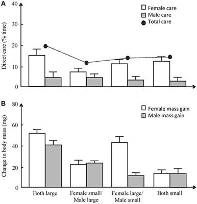 Coordination, Cooperation, and Conflict Between Caring Parents in Burying Beetles